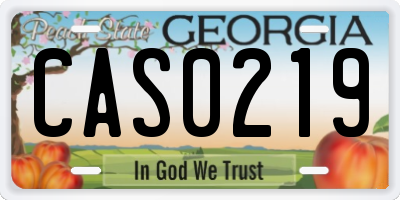 GA license plate CAS0219