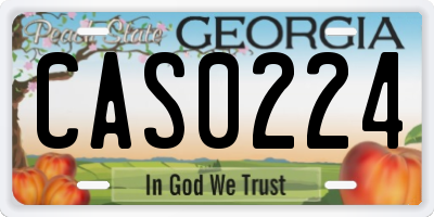 GA license plate CAS0224