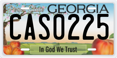 GA license plate CAS0225