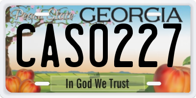 GA license plate CAS0227