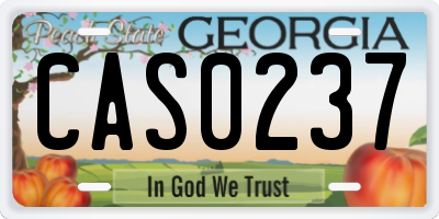 GA license plate CAS0237