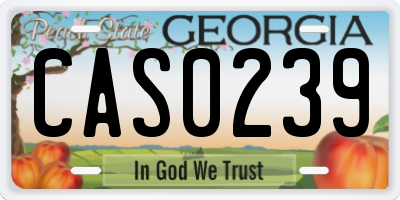 GA license plate CAS0239