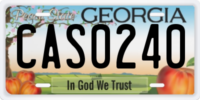 GA license plate CAS0240