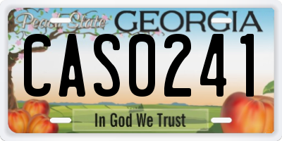 GA license plate CAS0241