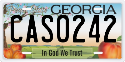 GA license plate CAS0242