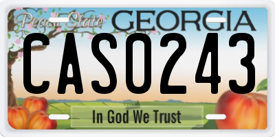 GA license plate CAS0243