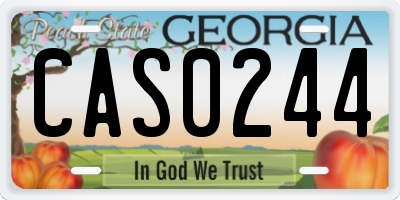 GA license plate CAS0244