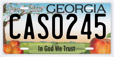 GA license plate CAS0245