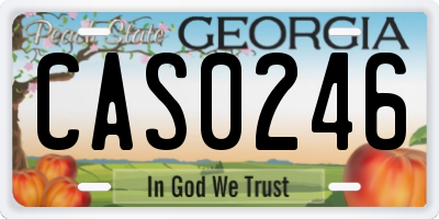 GA license plate CAS0246