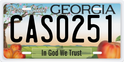 GA license plate CAS0251