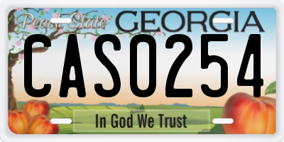 GA license plate CAS0254