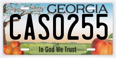 GA license plate CAS0255