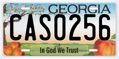 GA license plate CAS0256