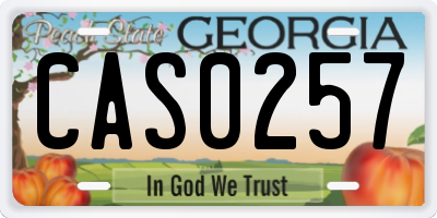 GA license plate CAS0257