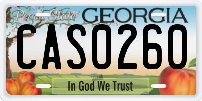 GA license plate CAS0260