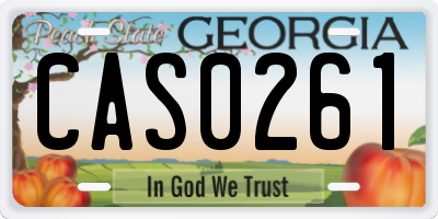 GA license plate CAS0261