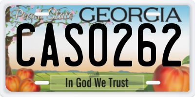 GA license plate CAS0262