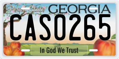 GA license plate CAS0265