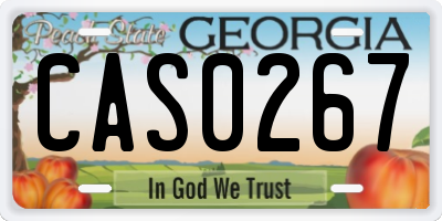 GA license plate CAS0267