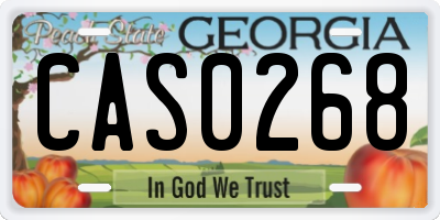 GA license plate CAS0268