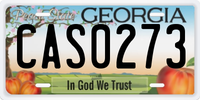 GA license plate CAS0273