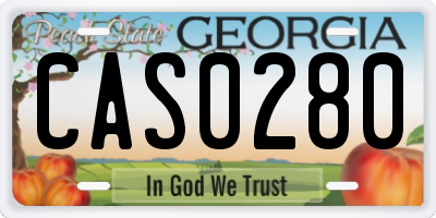 GA license plate CAS0280