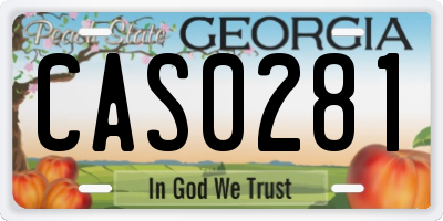 GA license plate CAS0281