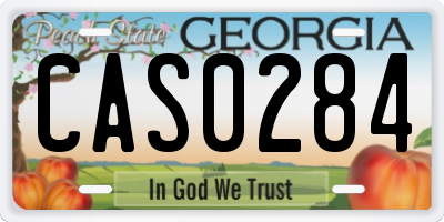 GA license plate CAS0284