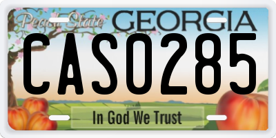 GA license plate CAS0285