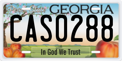 GA license plate CAS0288