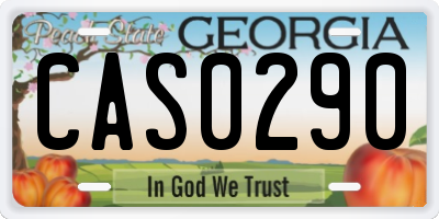 GA license plate CAS0290