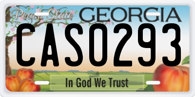 GA license plate CAS0293