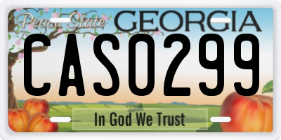GA license plate CAS0299