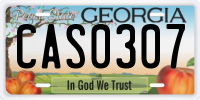 GA license plate CAS0307