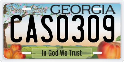 GA license plate CAS0309