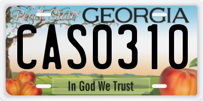 GA license plate CAS0310