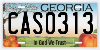 GA license plate CAS0313