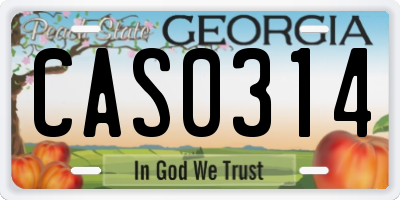 GA license plate CAS0314