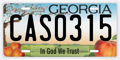 GA license plate CAS0315