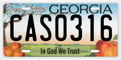 GA license plate CAS0316