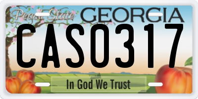 GA license plate CAS0317