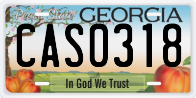 GA license plate CAS0318