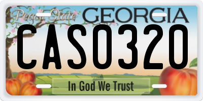 GA license plate CAS0320