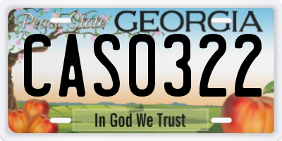 GA license plate CAS0322