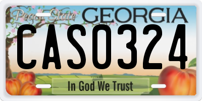 GA license plate CAS0324
