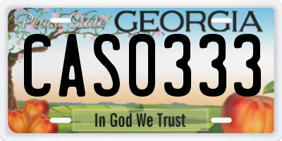 GA license plate CAS0333