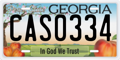 GA license plate CAS0334