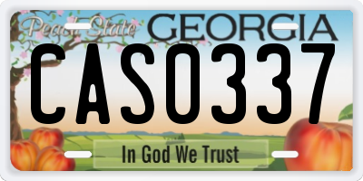 GA license plate CAS0337