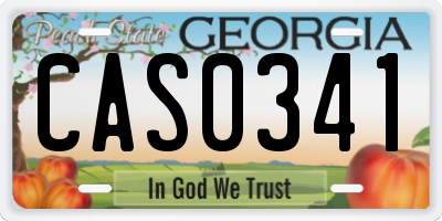 GA license plate CAS0341