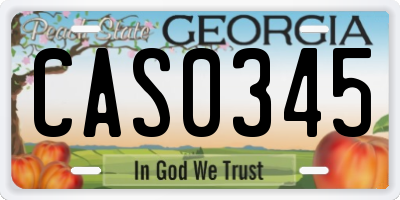 GA license plate CAS0345